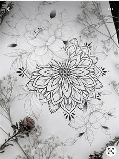 a drawing of flowers and leaves on paper