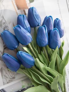 a bouquet of blue tulips sitting on top of a piece of paper