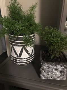 two potted plants sitting on top of a black and white table next to a mirror