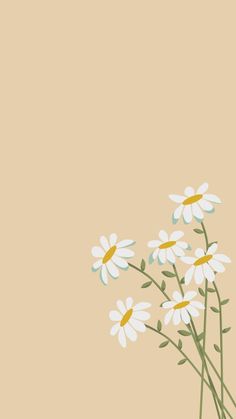 some daisies in a vase on a beige background with space for text or image