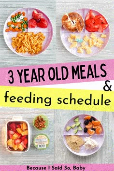 the three year old meals and feeding schedule is full of healthy food, including fruit, cereal