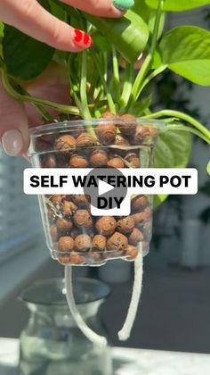 a person holding a potted plant in their hand with the words self watering pot diy on it