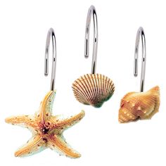 three sea shells hang from hooks on a white background, with one starfish in the foreground