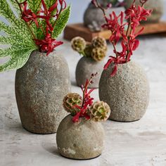 three vases with plants in them sitting on a table