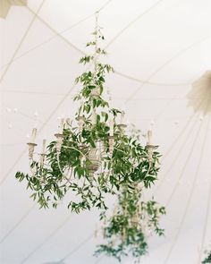 a chandelier hanging from the ceiling with greenery