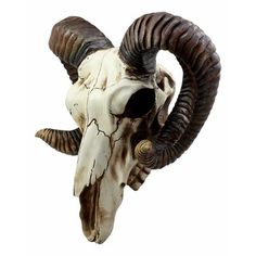 an animal skull with large horns on it's head is shown against a white background