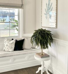 a window seat with a potted plant on it