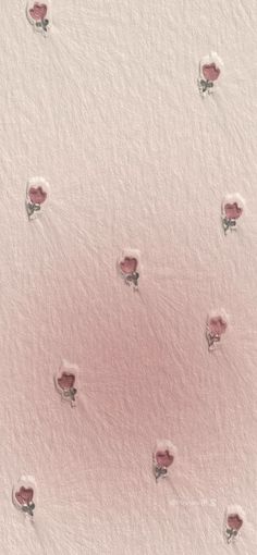 an aerial view of the snow covered ground with small pink flowers on it's surface