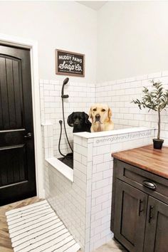 two dogs are sitting in the bathtub next to each other