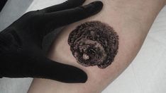 Poodle Tattoo, minimalist poodle tattoo, poodle tattoo ideas, toy poodle tattoo, poodle tattoo outline, standard poodle tattoo, simple poodle tattoo, geometric poodle tattoo, traditional poodle tattoo, black poodle tattoo, mini poodle tattoo, small poodle tattoo, cute poodle tattoo, realistic toy poodle tattoo, poodle tattoo designs, minimalist toy poodle tattoo, small simple poodle tattoo, minimalist poodle tattoo designs, french poodle tattoo, poodle tattoo images, cartoon poodle tattoo Poodle Tattoo Traditional, Puddle Tattoo Dog, Toy Poodle Tattoo, Poodle Tattoo Ideas, Tattoo Designs Minimalist, Cartoon Poodle, Small Poodle, Tattoo Cute