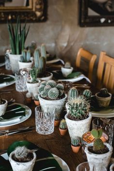 there are many small cactus plants in the pots on the dining room table set with place settings