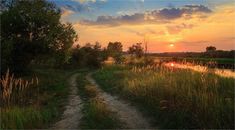 the sun is setting over a grassy field with a dirt path leading to a body of water