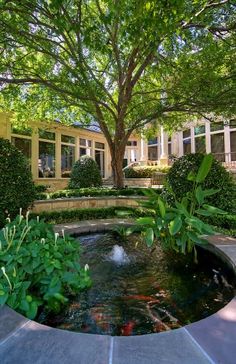 a fish pond surrounded by greenery in front of a house