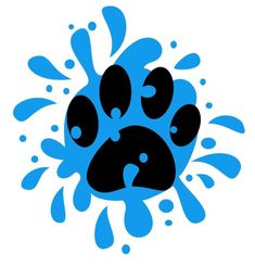 an animal's paw with water splashing around it, and the word dog written in