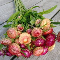 a bunch of flowers sitting on top of a wooden table next to green stems and leaves