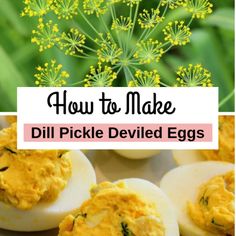 Dill Deviled Eggs, Simple Deviled Eggs Recipe, Making Dill Pickles, Deviled Egg Recipe, Dill Recipes, Deviled Eggs Easy, Egg Recipe