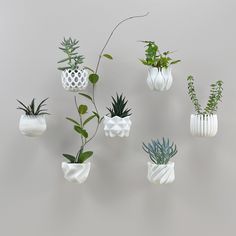 a group of white vases with plants in them hanging from the ceiling and on the wall