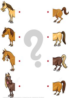 an image of horses and their names