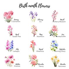 a bunch of flowers that are in the middle of each flower arrangement, with different names and colors