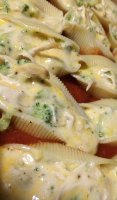 an image of chicken broccoli alfredo stuffed shells on pinter's page