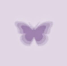 a purple butterfly on a white background with the shadow of it's wings spread out