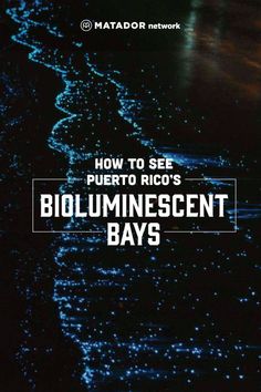 the cover of how to see puerto rico's bioumiescent bays by matador network