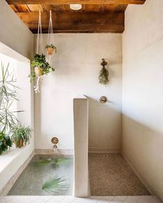 an indoor shower with plants hanging from it's sides and a tiled floor next to the bathtub