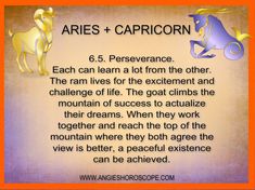 an orange frame with two horses and the words aries + capricon