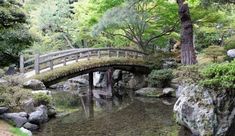 a bridge over a small stream in a park