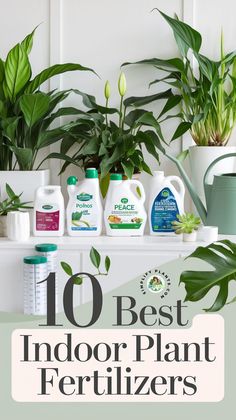 the top 10 best indoor plant fertilizers for houseplants and plants