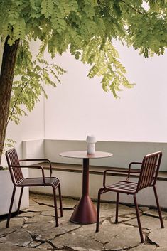 two chairs and a table under a tree