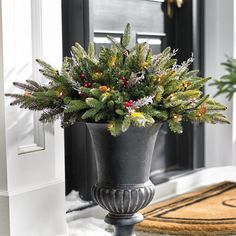 a potted plant sitting on top of a wooden table in front of a door