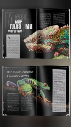 an open magazine with pictures of lizards and other animals on the pages, in different colors