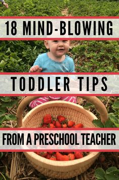 Toddler Parenting, Toddler Behavior, Baby Sitting, Toddler Discipline, Baby Advice