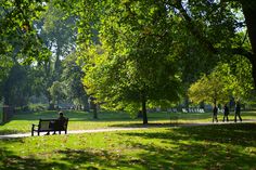 a park with people walking and sitting on the benches in the grass, near many trees