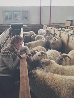 a woman is petting some sheep in a pen