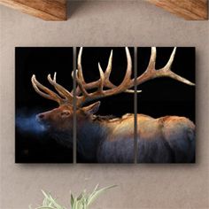 three paintings of an elk with antlers in the dark