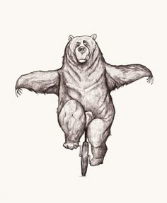 a drawing of a bear riding a bike with its arms spread out and legs crossed