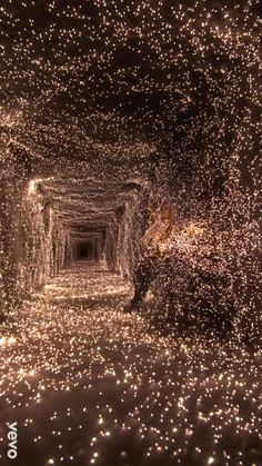 a person sitting in the middle of a tunnel with lights on it's sides