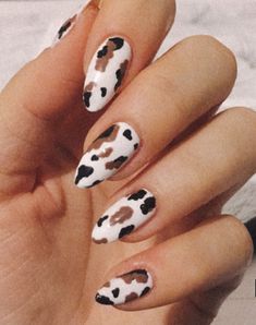 Black And Brown Cow Print Nails, Farm Themed Nails, Cowhide Nails, Texas Longhorn Nails, Cowgirl Nails