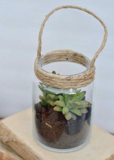 a glass jar filled with plants sitting on top of a wooden block