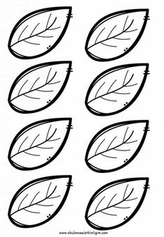 four leaves that are drawn in black and white