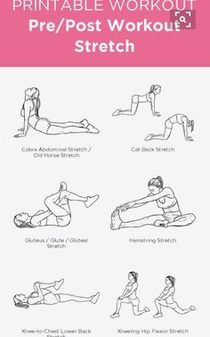 an exercise poster with instructions to use it for the back and chest exercises, including