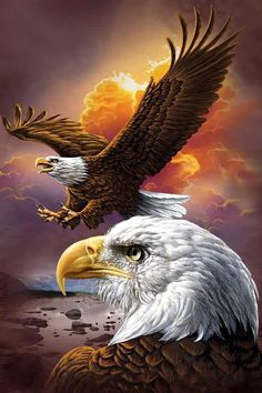 two bald eagles flying in the sky with their wings spread out and facing each other