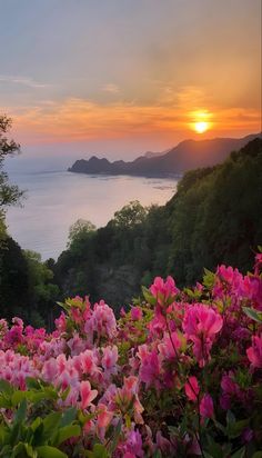 the sun is setting over some water and pink flowers in front of mountains with trees