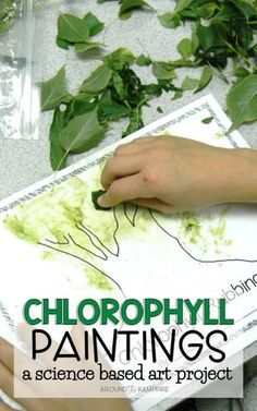 a person is painting with green leaves on the table