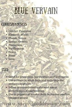 Magical Uses For - Blue Vervain Herb Correspondences, Blue Vervain, Creepy Vintage, Witch Garden, Natural Kitchen