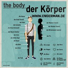 the body of a man with different parts labeled in german and english on a blue background