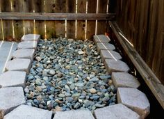 a dog is sitting in the middle of a graveled area with rocks on it