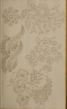 an old book with drawings of flowers and leaves on it's cover, in gold frame